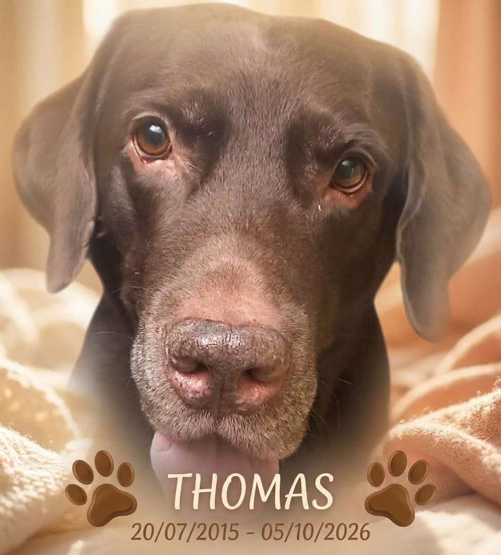 THOMAS